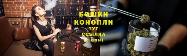 ешки Вяземский