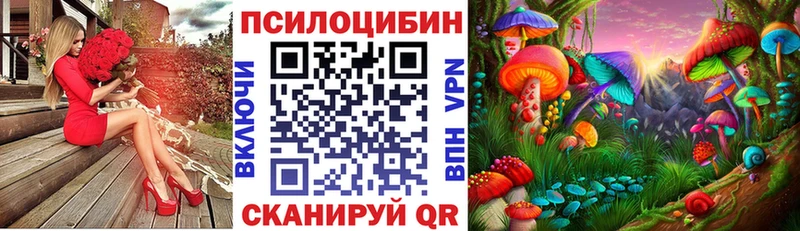 Купить  Заволжск  Галлюциногенные грибы ЛСД 